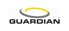 guardian fall guardian fall